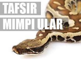 Apa Arti Mimpi Digigit Ular Duajari Co