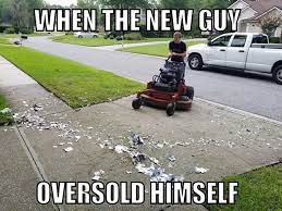 Should Have Stayed Solo Lawncare Lawncareservice Lawnmaintenance Lawn Greenpal Lawn Care Lawn Robotic Lawn Mower