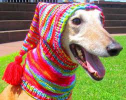 Dog Hat Custom Dog Hat Greyhound Hat Whippet Hat Italian Greyhound Hat Chihuahua Hat Yorkie Hat Chinese Crest Dog Scarf Crochet Dog Sweaters Dog Clothes