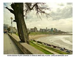 Una Vista Web Arboles De Mar Del Plata Mar Del Plata Mar Arboles