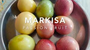 Menanam markisa agar berbuah lebat. Info Tani Panen Dan Makan Buah Markisa Dari Kebun Rumah Passion Fruit Cara Sendiri Mudah Di Tahun 2020 Nan Indah Jazz Indonesia