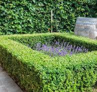 Seeking Landscaping Quotes in Henderson, NV