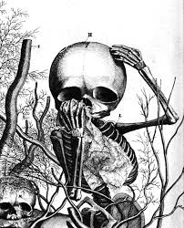 Lover of plants and dead things! 25 Frederik Ruysch Ideas Morbid Art Scientific Illustration