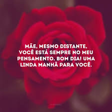 Compra online com entregas seguras na fnac.pt! 30 Frases De Bom Dia Para Mae Que Deixarao A Manha Dela Mais Linda