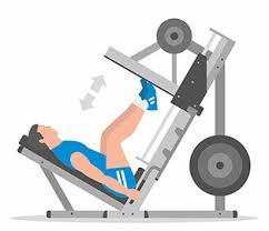 Check spelling or type a new query. What S The Best Gym Equipment For Legs Home Gym Experts Home Fitness Equipment Advice