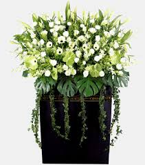 We did not find results for: One Stop Funeral Flowers Singapore Florist Urgent Same Day Delivery