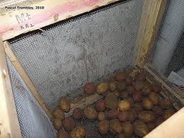 Arizona backyard ideas on a budget with amazing design and style. Potatoes Bins Potato Bin Cold Room Bins How To Build Storage Bins Wire Mesh Bins Canned Food Storage Cold Room Food Storage