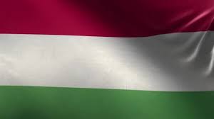 Use these color values if you need their national colors for any of your digital, paint or print projects. 194 Hungarian Flag Stock Videos Royalty Free Hungarian Flag Footage Depositphotos