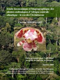 Image result for Diceratostele gabonensis