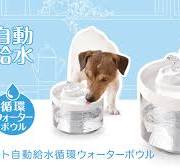 ペット自動給水循環ウォーターボウル ペット用 お留守番も安心 ...