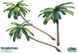 Apical at or on the apex of a structure, usually a shoot, a stem, or the trunk of a tree, e.g. Sims 4 Leaning Palm Tree Oak Tree Sims 4 Plants If Our Guides Don T Do It For You Check Out The Simtwins Video Instead Tanklada