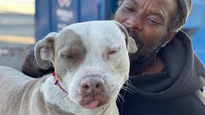 Homeless man from Georgia saves animals from burning W-Underdogs dog rescue  building