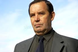 773 Sage Wise Stock Photos