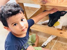 Jose Gabriel Obregon Quiñonez