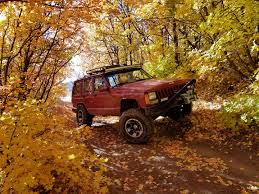 Image result for Autumn Brown 1994 SsangYong