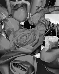 we agreed we were both tired of being "just friends"