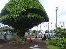 Bandung zoo atau kebun binatang bandung tempat wisata yang memiliki beragam koleksi flora dan fauna. Taman Galaxy Tempat Wisata Gratis Di Jember