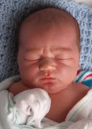 Oswego County TodayHeley Adam Cook