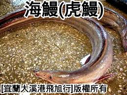1 definitions matched, 29 related definitions, and 1 example sentences æµ·é°» è™Žé°» Yahooå¥‡æ'©æ‹è³£