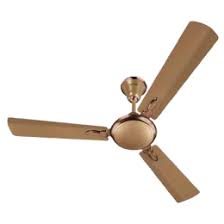 In the wintertime, several ceiling fans working in unison will circulate the warmth throughout the home. Buy Anchor Xl 120cm Sweep 3 Blade Ceiling Fan Powerful Motor 13401pgc Ivory Online Croma