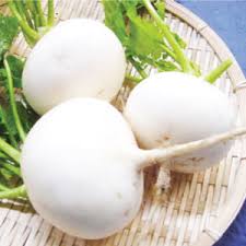 Use thinned seedlings for greens. Seven Top Turnip Seeds Urban Farmer