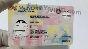 All identification cards issued on april 20, 2021 or later will display an updated identification card template that does not include a photograph of the patient or caregiver. Maryland Id Buy Premium Scannable Fake Id We Make Fake Ids