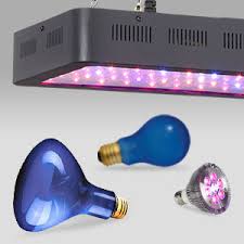 Grow Lights And Plant Lights For Indoor Lamps Plus