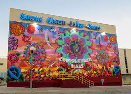2 22 17 With Images Corpus Christi Street Art Art