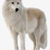 Black wolf illustration, arctic wolf drawing anime legendary creature, blue wolf, pencil, cat like mammal, carnivoran png. 1