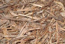 Mulch provides an incredibly protective layer above soil that helps. Mulch Mariposa Nursery Retail Garden Center