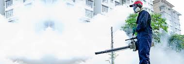 Professionalism, punctuality, quality, responsiveness, value i would recommend you use this company parota, if you want fast and. Fumigation Services Fumigation Pest Control Services In Lahore