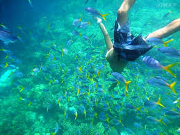 Maybe you would like to learn more about one of these? å¸›ç‰å‡ºåœ‹ æ—…éŠæ³¡æ³¡4 1å•Ÿå‹•ä¹…é•çš„åœ‹å¤–å‡ºéŠä½ ç™»è¨˜äº†å—Ž è¡Œéå¤©ä¸‹æ—…éŠç¶²