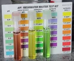 Top 10 Best Aquarium Test Kits 2019 Reviews Guide