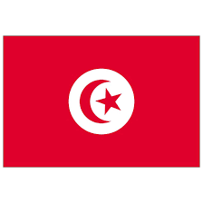 Ombudsman UE Critica la Commissione per la gestione inefficace della richiesta di accesso ai documenti su incontro con la Tunisia"