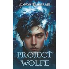 Amazon.com: Diamond City (Diamond City Series): 9798988146919: Cole,  Astrid: Books