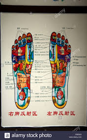 Chinese Medicine Chart Showing Pressure Points On Feet Hong