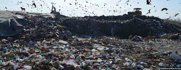 25 Indian States Ban Plastic Bags Yet 600 Truckloads Of Plastic Discarded Every Day
