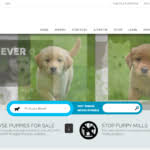 They prefer that amish puppy mills use their site. Lancaster Puppies Dirty Scam