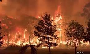 Dari informasi laman bmkg, pada selasa (17/9), asap lintas terpantau juga. Malaysiakini Ambil Iktibar Kebakaran Hutan Di Australia Aktivis Alam Sekitar