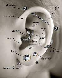 Ear Piercing Ideas For Women Ideas Piercing Women Cool Ear Piercings Ear Piercing Diagram Ear Piercings