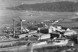 Austrocel hallein is one of the most traditional companies in austria. Salzburger Zellstofferzeuger Auf Umweltkurs Wirtschaft Umwelt