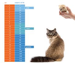 40 Prototypic Kitten Weight Chart 14 Weeks