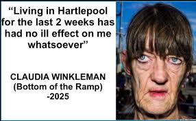 What has gradually disappeared in Hartlepool over the past few years,  without people really noticing.