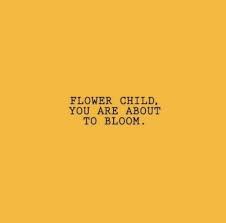 Flower Child Quote Yellow Quotes Flower Child Quotes Quote Aesthetic Yellow flowers aesthetic wallpapers for computer. flower child quote yellow quotes