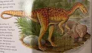 Image result for Hypuronector