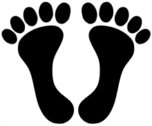 Il y a 9 ans|670 vues. Pied Noir Wikipedia