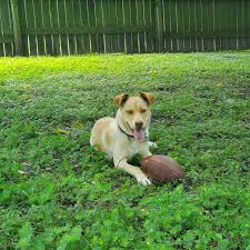 Jaysen Edwards (@jaysenedwards) • Instagram photos and videos