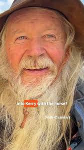 Banagher Horse Fair added a new photo.