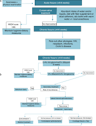 Treatment Algorithm for Anal Fissure. Consensus Document of the Spanish  Association of Coloproctology and the Coloproctology Division of the  Spanish Association of Surgeons | Cirugía Española (English Edition)