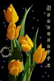 Troverai le migliori frasi e immagini per desiderare una buona notte a l'amica del cuore, il fidanzato, la famiglia, i. Buonanotte Fiori Bellissimeimmagini It